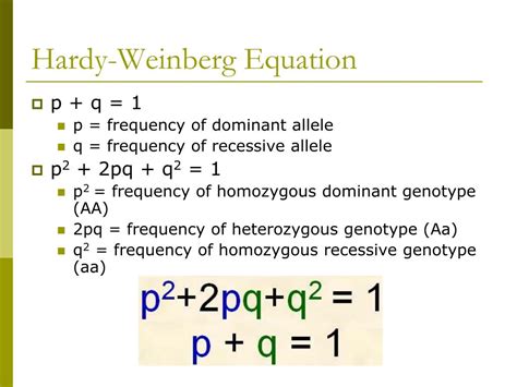 Hardy Weinberg Equation