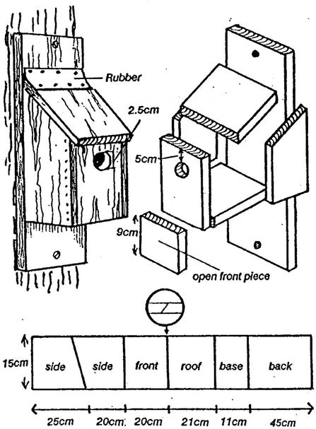 Bird and bat boxes | Suffolk Wildlife Trust