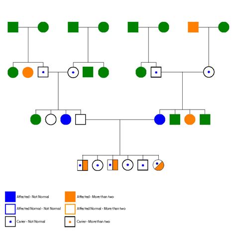 A Beginner’s Guide for Pedigree Chart - EdrawMax