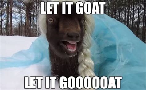 These Goat Memes Are the Greatest of All Time (25 Memes) | Goats funny ...