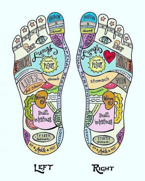 Reflexology: Tapping into the Power of the Feet — Therapeutic Bodywork