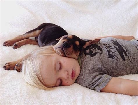 Adorable Photos Sleeping Baby and Puppy by Jessica Shyba - Design Swan