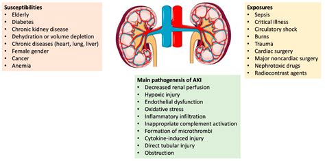 Pathophysiology Of Renal Disease Image Chapter 26 Acute Renal – NBKomputer