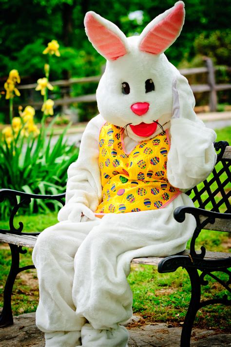 File:Easter Bunny.JPG - Wikimedia Commons