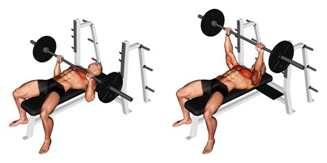 Barbell Bench Press: Benefits, Muscles Used, and More - Inspire US