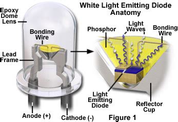 Molecular Expressions Microscopy Primer: Physics of Light and Color ...