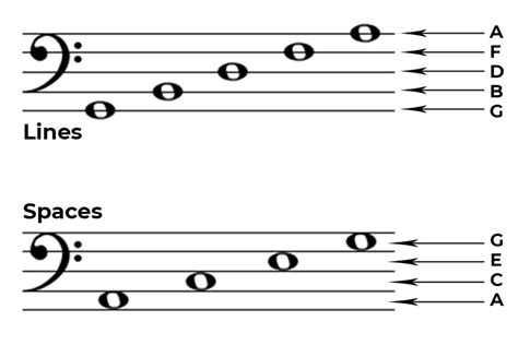 Bass Clef General Overview - Phamox Music