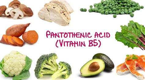 What is Pantothenic Acid and Biotin? Deficiency, Benefits & Foods Sources