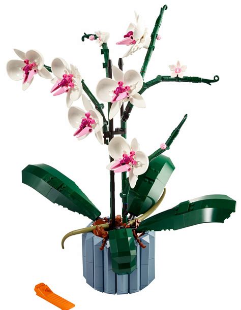 LEGO adds orchids and succulents to its botanical collection