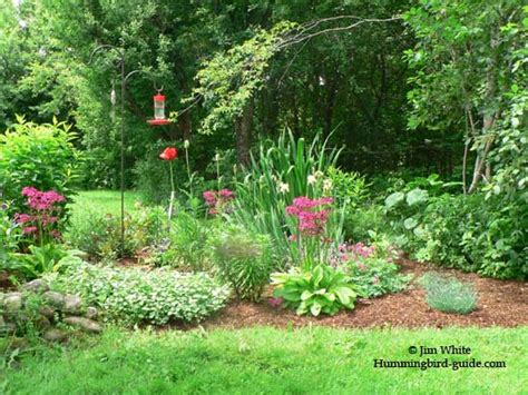 Hummingbird Garden Plans. Creating a Hummingbird Garden.