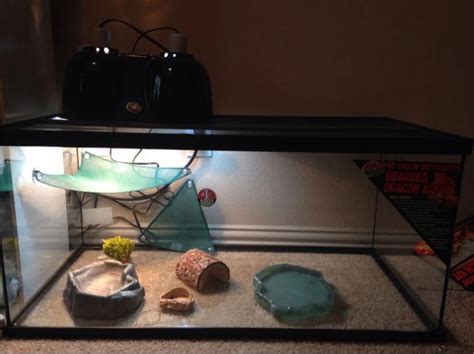 40 gallon reptile habitat / tank for sale in Arlington, TX - 5miles ...