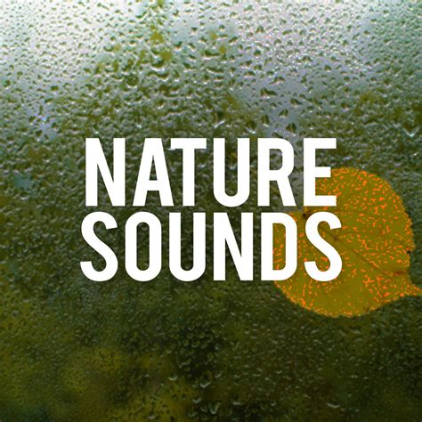 Nature Sounds - Nature Sounds | iHeart