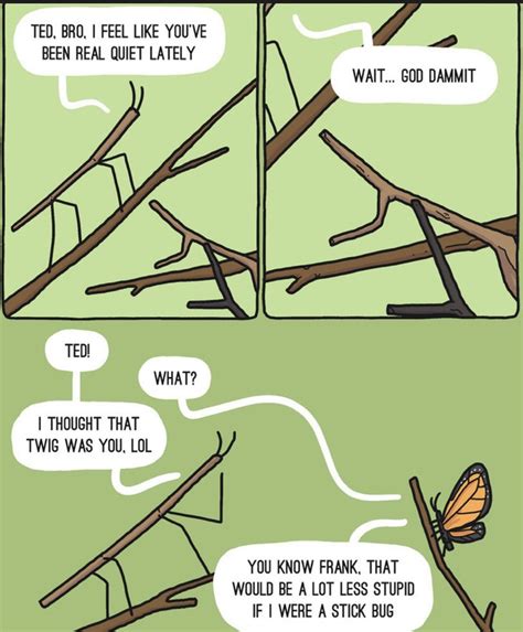 The best Butterfly memes :) Memedroid