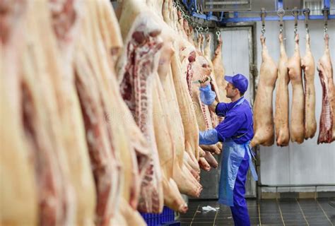 Butcher Cutting Pork at the Meat Manufacturing. Stock Image - Image of ...