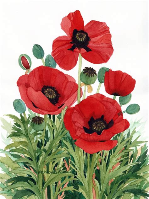 Red Poppies Watercolor Painting Reproduction by Wanda Zuchowski-schick ...