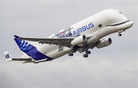 Final Airbus Beluga XL Performs 1st Flight