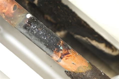 Copper Corrosion: Everything You Need to Know | Water Heater Hub