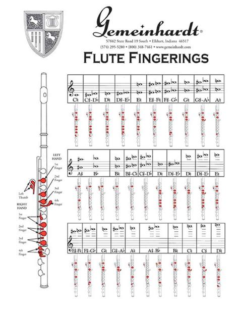 Flute Fingering Chart – Band Director Media Group