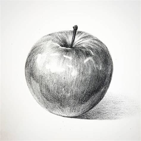 Apple pencil drawing 사과 소묘 :) 어제 저녁부터 선선한 날씨😊 #미술학원 #소묘 #드로잉 #일러스트 #그림 ...