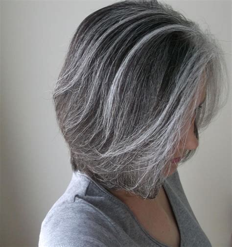 70 Adding Silver Highlights to Brown Hair Picture | Transition to gray ...