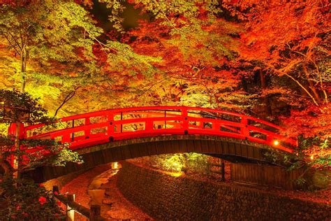 10 Best Places to See Autumn Leaves in Kyoto 2022 | Japan Wonder Travel ...