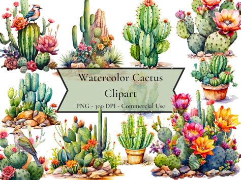 Watercolor Cactus Clipart, Desert Cactus Clipart, Desert Cacti ...