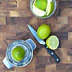 Stainless Steel Citrus Juicer + Reviews | Crate & Barrel