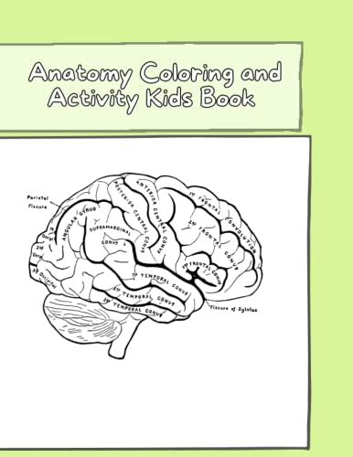 Anatomy Coloring and Activity Kids Book: for Kids to Learn About the ...