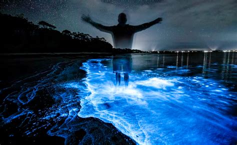 What is Sea of Stars in Maldives? Visit Vaadhoo Island's Sea of Stars.