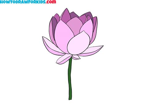 Pretty Lotus Flower Drawing 2 - Home Alqu