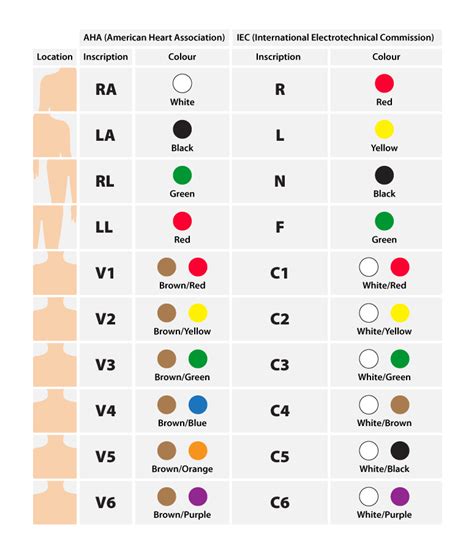 12-Lead ECG Placement Guide with Illustrations Nursing Student Tips ...