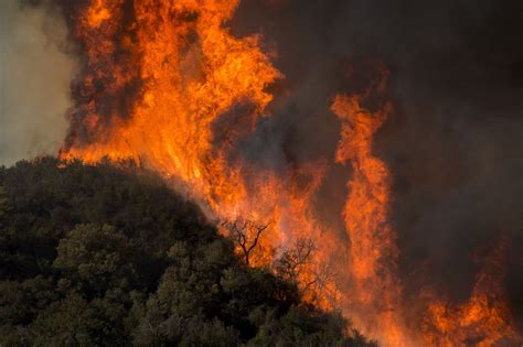 Wildfires | National Geographic Society