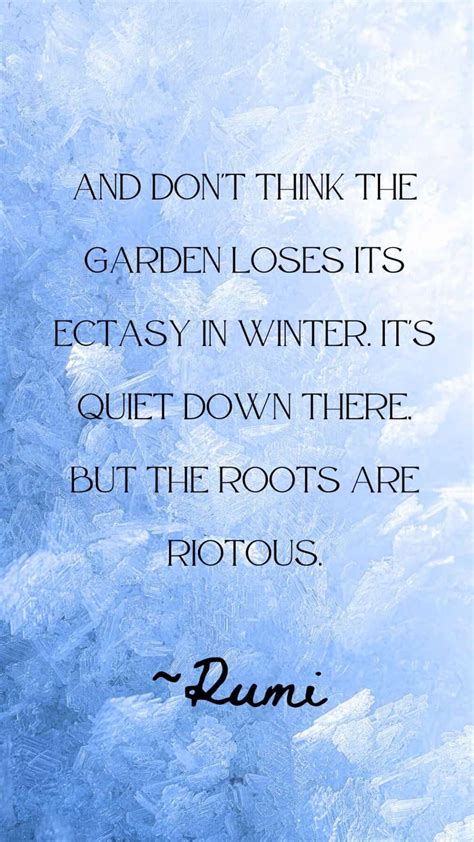 53 Winter Solstice Quotes For Peace & Inner Stillness - The Daily Dish