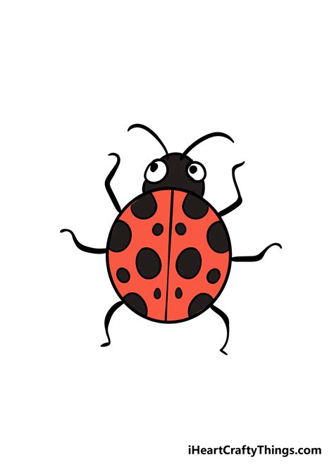 Ladybug Drawing - How To Draw A Ladybug Step By Step