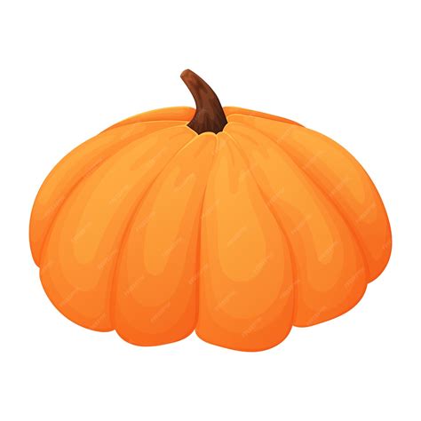 Premium Vector | Autumn ripe pumpkin vector cartoon isolated vegetable ...