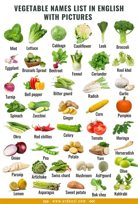 18 Photos Lovely Only Stem Vegetables Names With Pictures