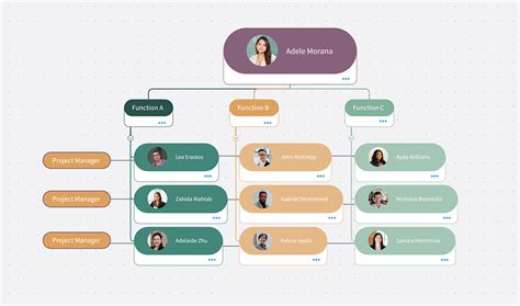 Functional Chart Template Free organizational chart template