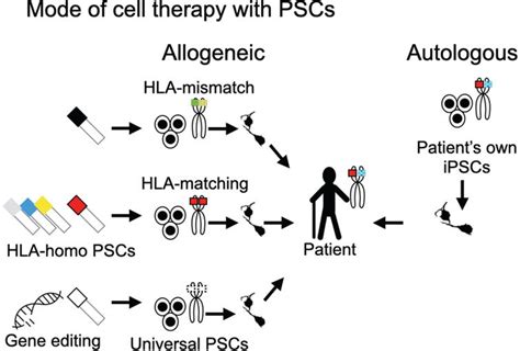 Evading the Immune System: Immune Modulation and Immune Matching in ...