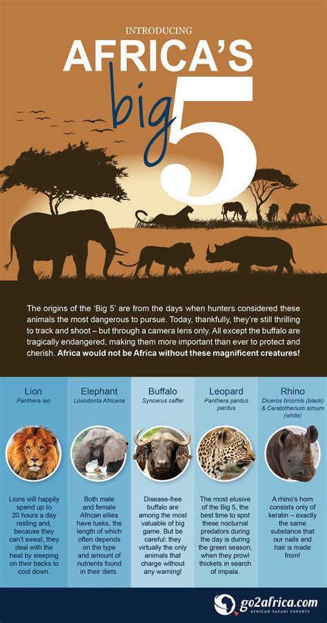 African Savanna Interesting Facts - Pets Lovers