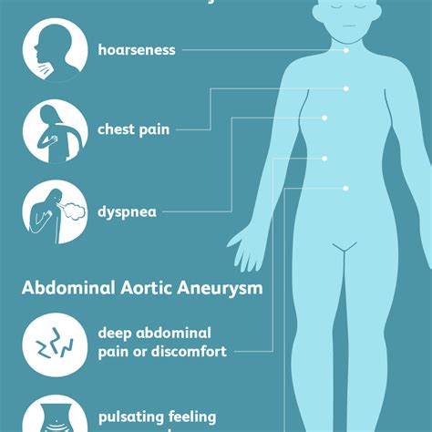 Ascending Aorta: Anatomy, Function, and Significance