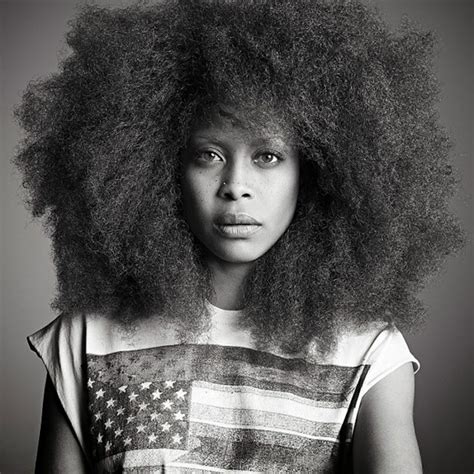 Same Ol' USA: Erykah Badu's 'New Amerykah,' Ten Years On | Passion of ...