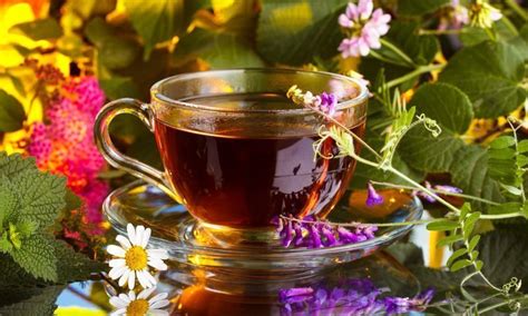 Calming Herbal Tea – Earth to Kathy