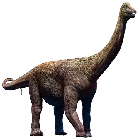 Titanosaurs: 8 of the World's Biggest Dinosaurs | Britannica