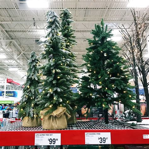 Mini Christmas Trees! — Sam's Simple Savings