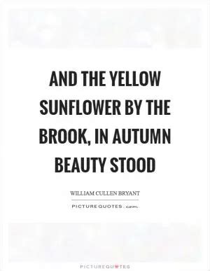 Yellow Sun Quotes | Yellow Sun Sayings | Yellow Sun Picture Quotes