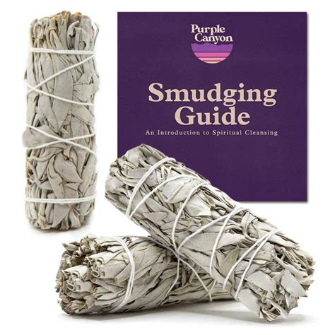 Buy PURPLE CANYONWhite Sage Bundles - 3 Pack - Sage Smudge Stick for ...