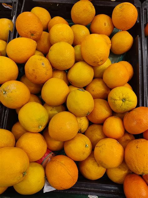 Orange Fruits · Free Stock Photo