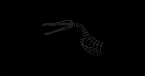 Pliosaurus skeleton - Pliosaurus - Sticker | TeePublic