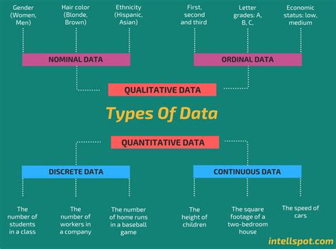 6 Types of Data in Statistics & Research: Key in Data Science