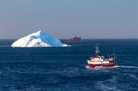 Icebergs? You bet! Check out our latest audience photo gallery | CBC News